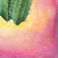 Cacti