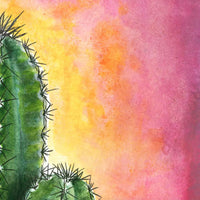 Cacti