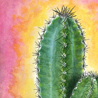 Cacti