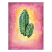 Cacti