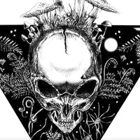 Detritus