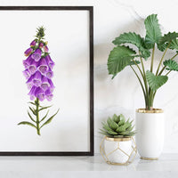 Digitalis