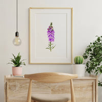 Digitalis
