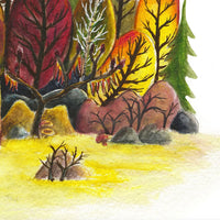 Forest in Autumn