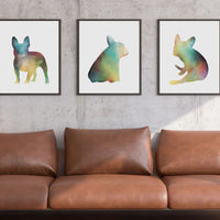 Frenchie Trio