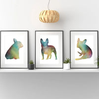 Frenchie Trio