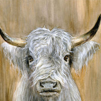 Highland Bull