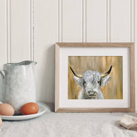 Highland Bull