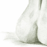 Nude Sketch