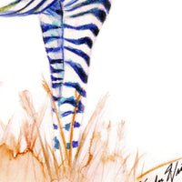 Rainbow Zebra