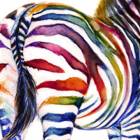 Rainbow Zebra