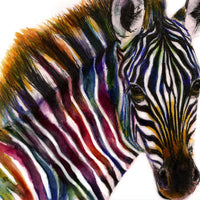 Rainbow Zebra