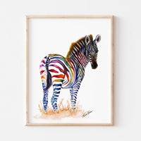 Rainbow Zebra