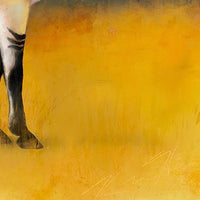Sojourn
