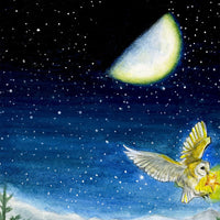 Solstice Celebrations