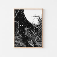 To the Stars