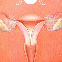 Embryonic and Fetal Development