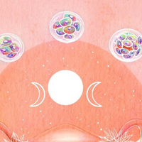 Embryonic and Fetal Development