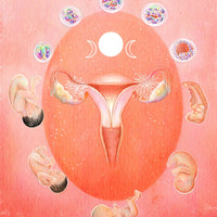 Embryonic and Fetal Development
