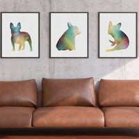 Frenchie Trio