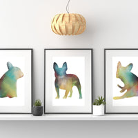 Frenchie Trio