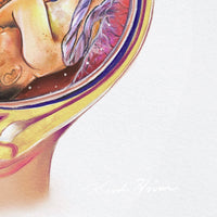 Pregnancy Medical Illustration