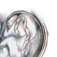 Pregnancy Anatomy