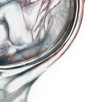 Pregnancy Anatomy