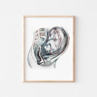 Pregnancy Anatomy