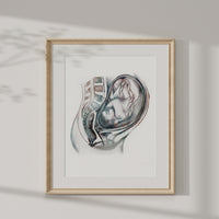 Pregnancy Anatomy