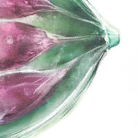 Lactating Breast Anatomy