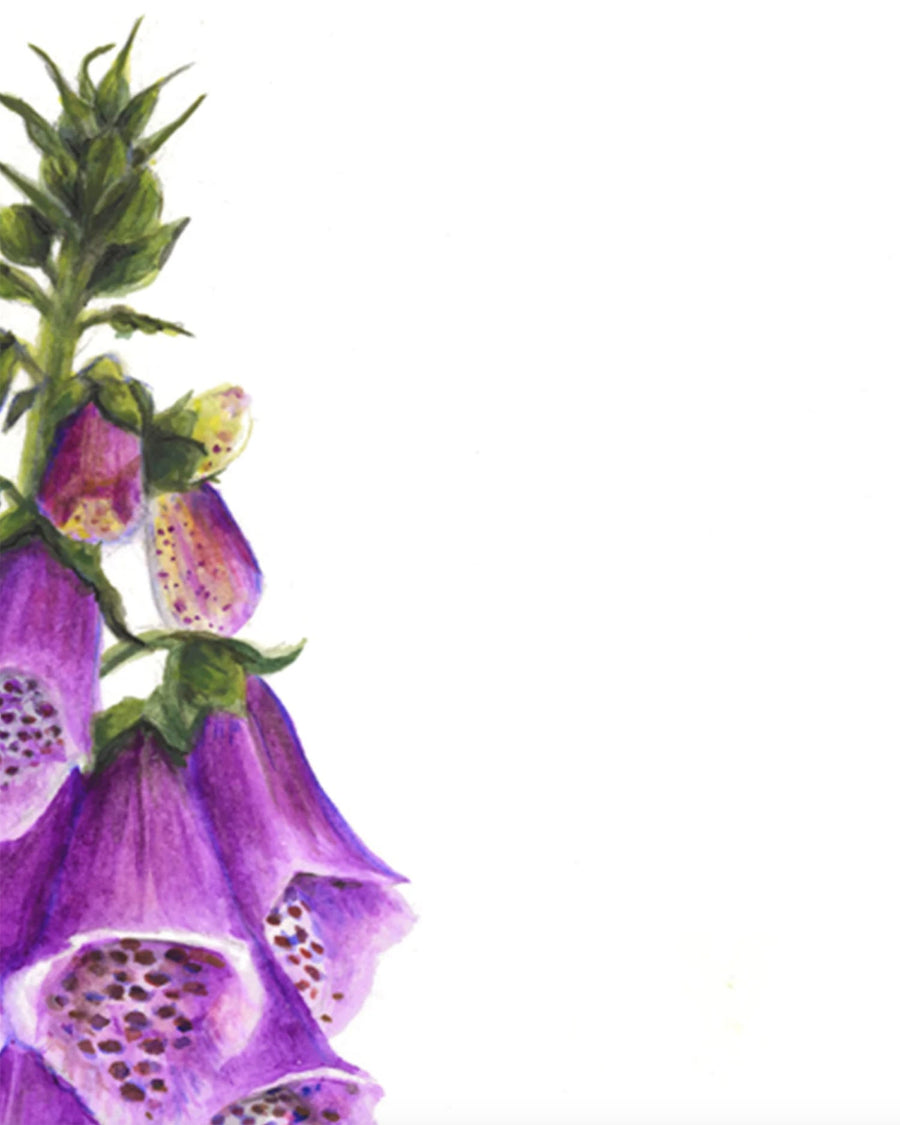 Digitalis