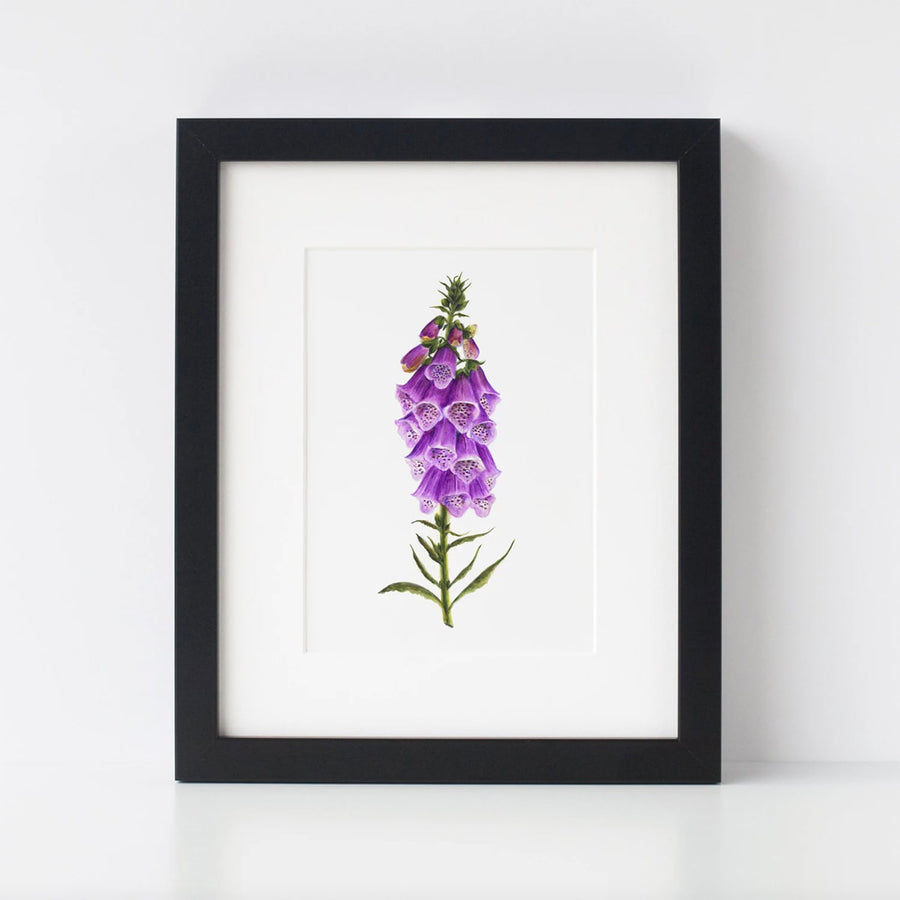 Digitalis