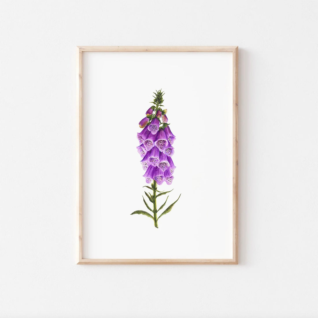 Digitalis