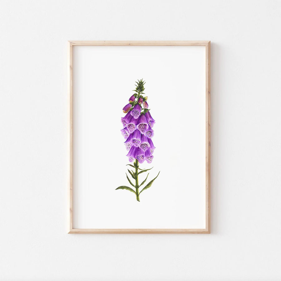 Digitalis