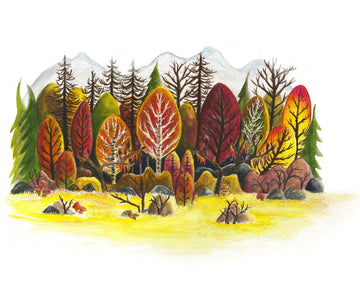 Forest in Autumn