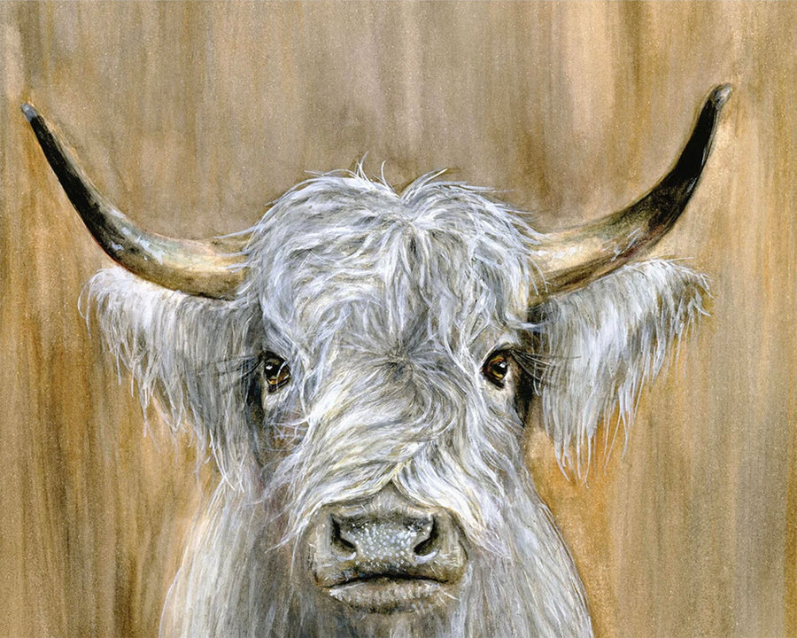 Highland Bull