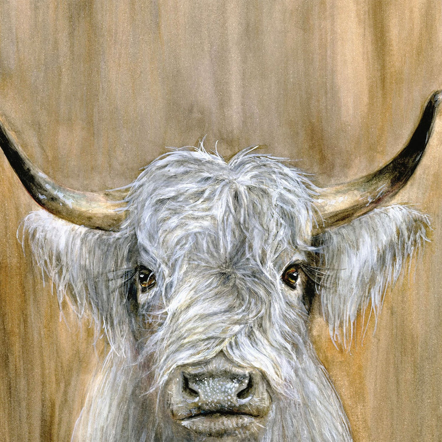 Highland Bull