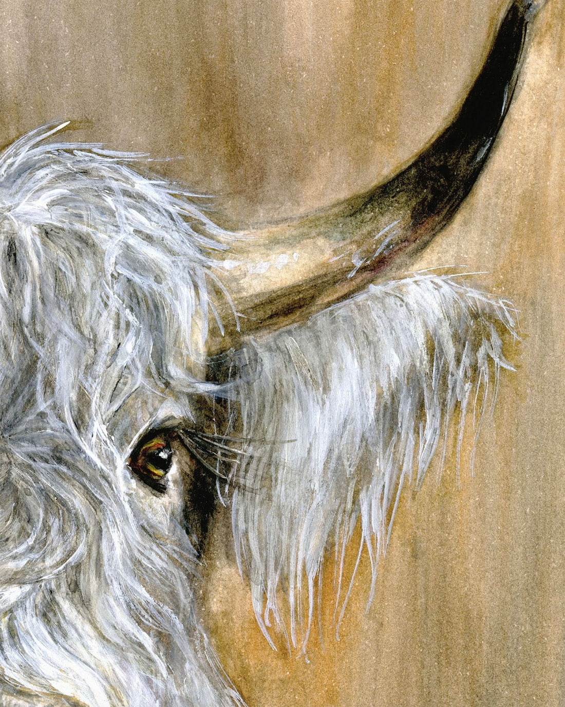 Highland Bull