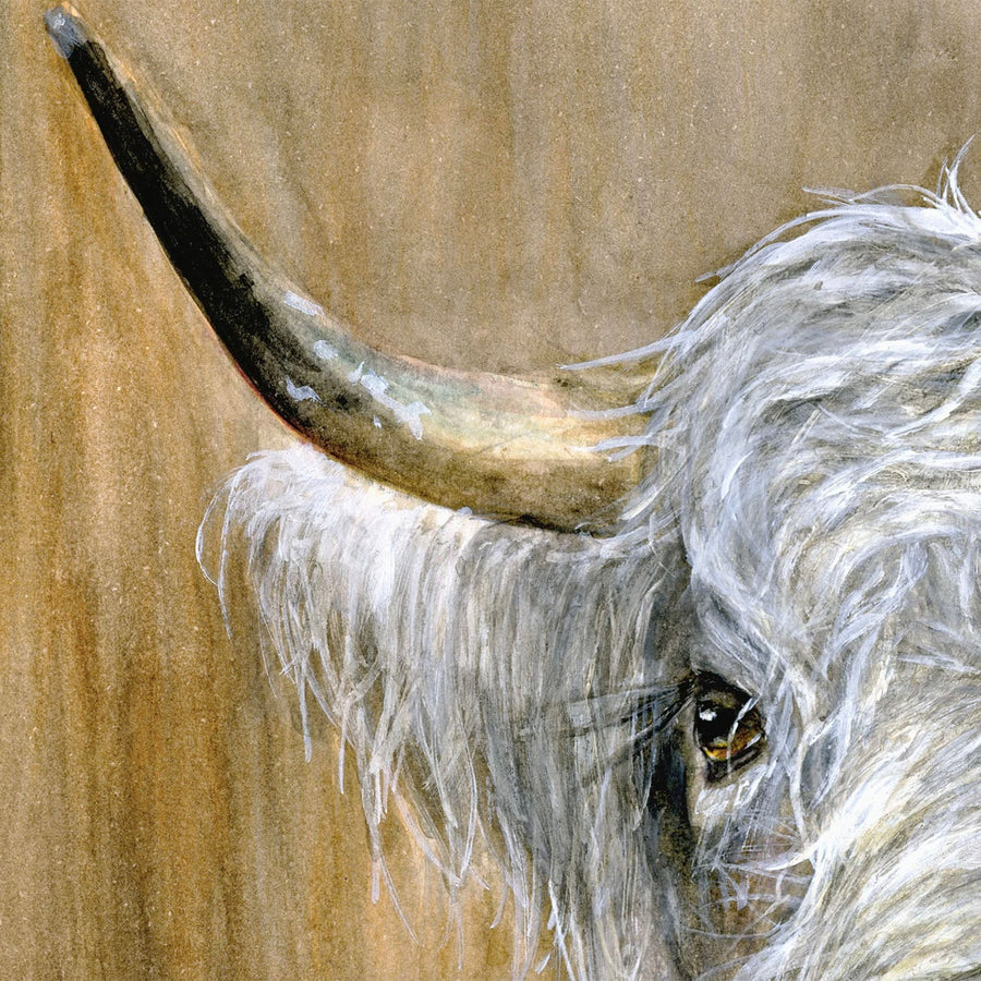 Highland Bull