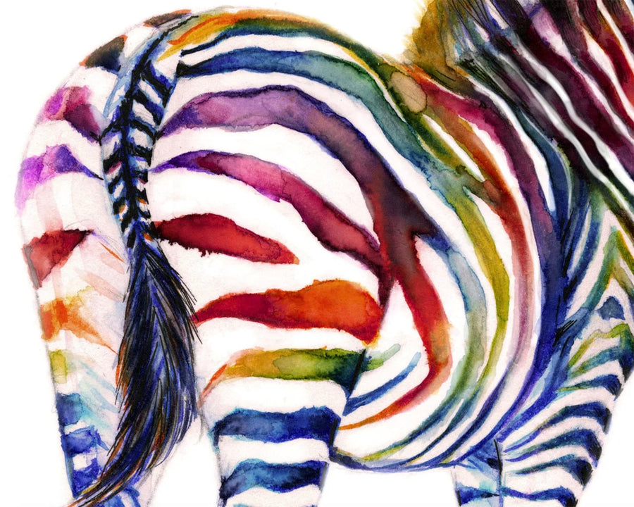 Rainbow Zebra