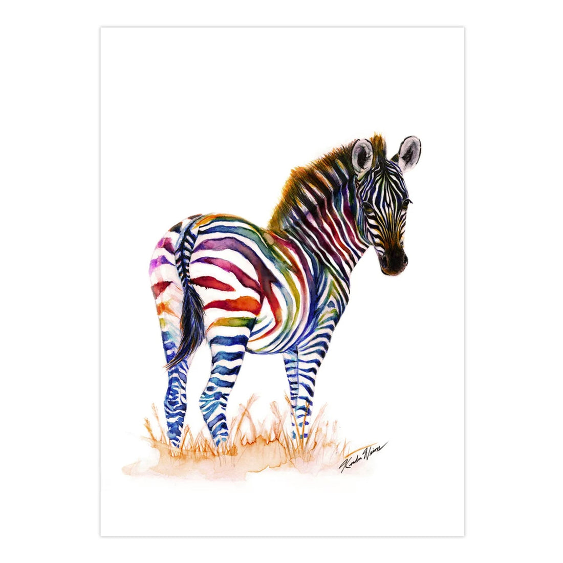 Rainbow Zebra