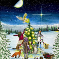 Solstice Celebrations